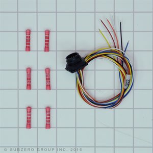 W/H,DISPLAY 2 SVCE [4204020]